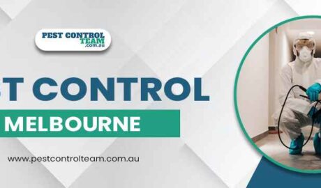 Pest Control Melbourne