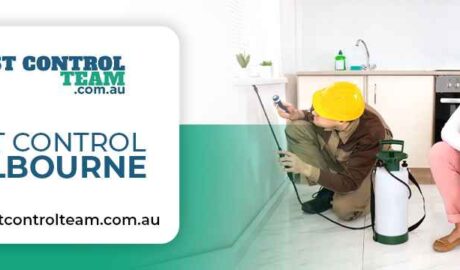 Pest Control Melbourne