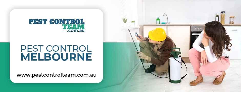 Pest Control Melbourne